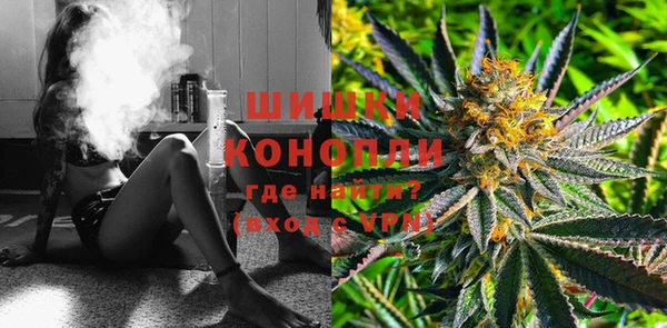 ПСИЛОЦИБИНОВЫЕ ГРИБЫ Бородино