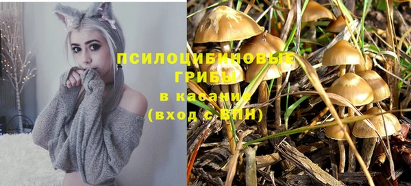 ПСИЛОЦИБИНОВЫЕ ГРИБЫ Бородино