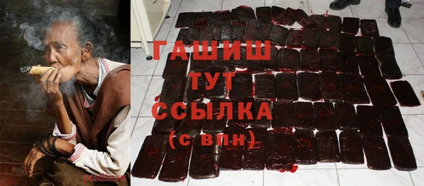 ПСИЛОЦИБИНОВЫЕ ГРИБЫ Бородино