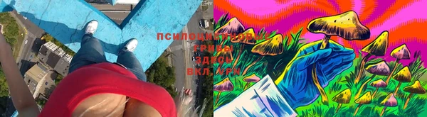 МДПВ Бугульма