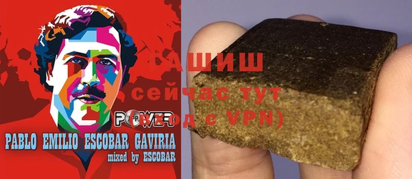 гидра Богородск